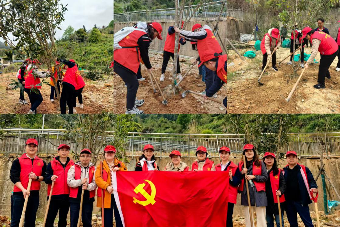 六合彩结果今期